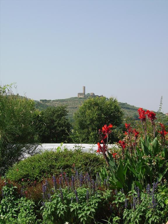 카스티글리온플로렌티노 Il Belvedere Di Roccavo 빌라 외부 사진