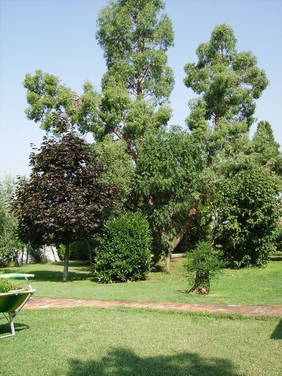 카스티글리온플로렌티노 Il Belvedere Di Roccavo 빌라 외부 사진